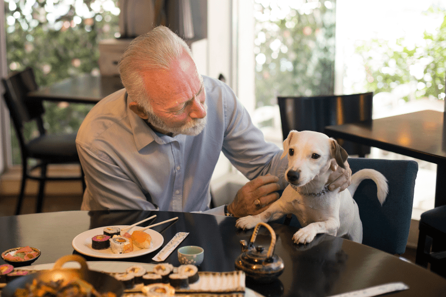 Quer saber quais os cuidados necessários para ter um restaurante em pet friendly?