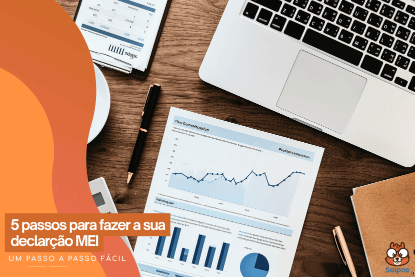 Declaração Mei 5 passos para fazer