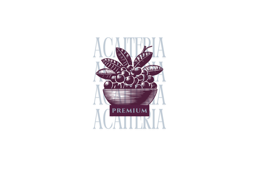 Logo elegante 
