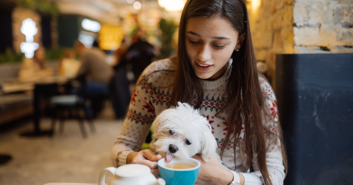 Imagem do artigo Cafeteria pet friendly: 6 melhores + dicas para abrir a sua!