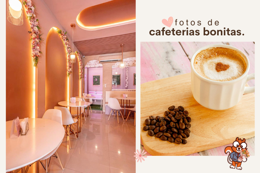 Fotos de cafeterias bonitas​ ambiente instagramavel