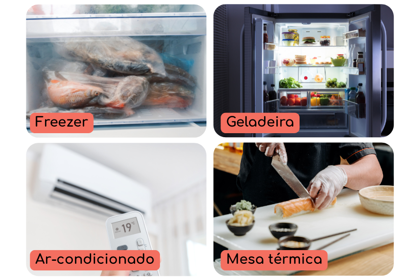 temperatura sushi - SAIPOS 2