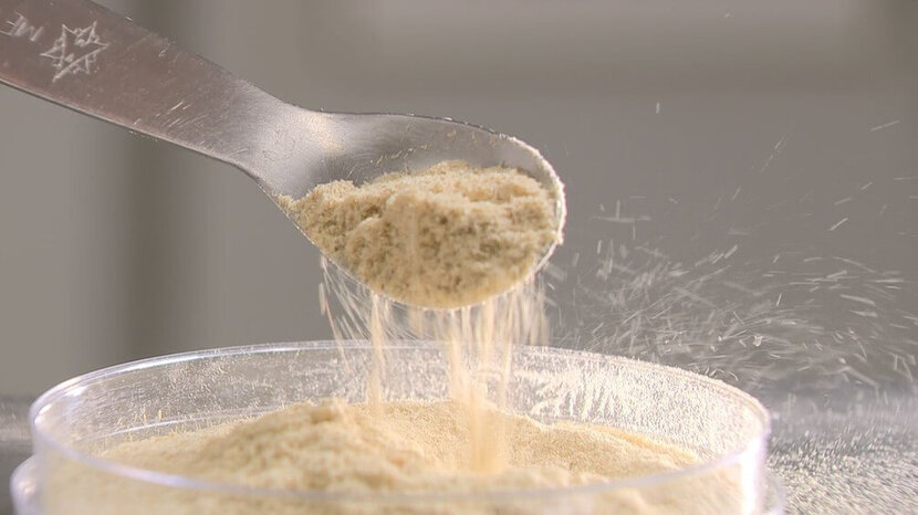 Farinha à base de bambu é testada com sucesso